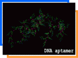 DNAアプタマー写真