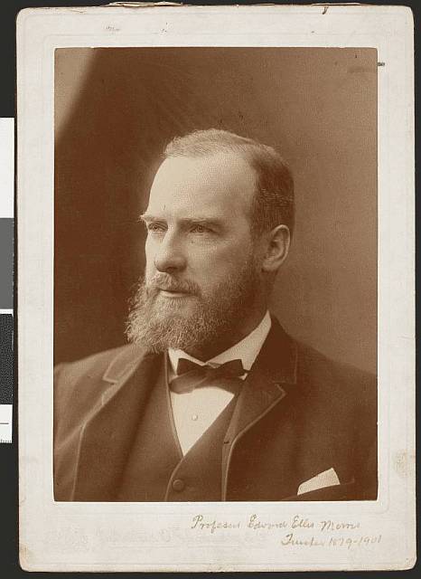 Photograph of Edward Morris, by Johnstone, O'Shannessy & Co, c1900, State Library of Victoria, H4705