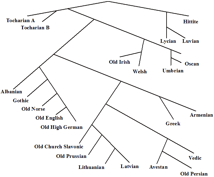 Elaborated Into-European Tree