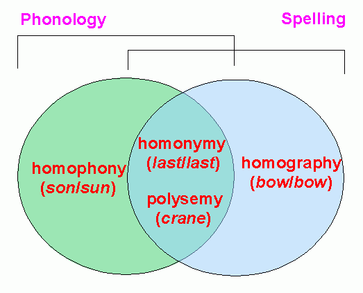 homonymy, homophony, homography, and polysemy