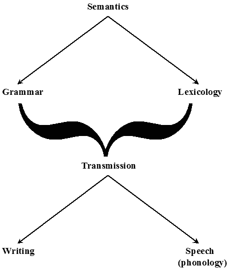 The Levels of Language (Hierarchical Model)