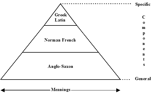 Pyramid of English Lexicon