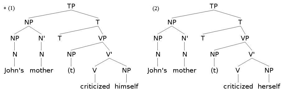 Syntax Tree for C-Command 2