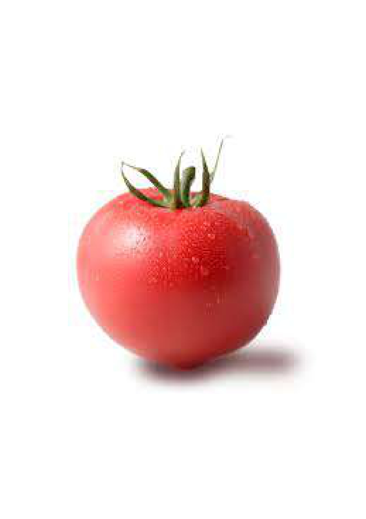 tomato