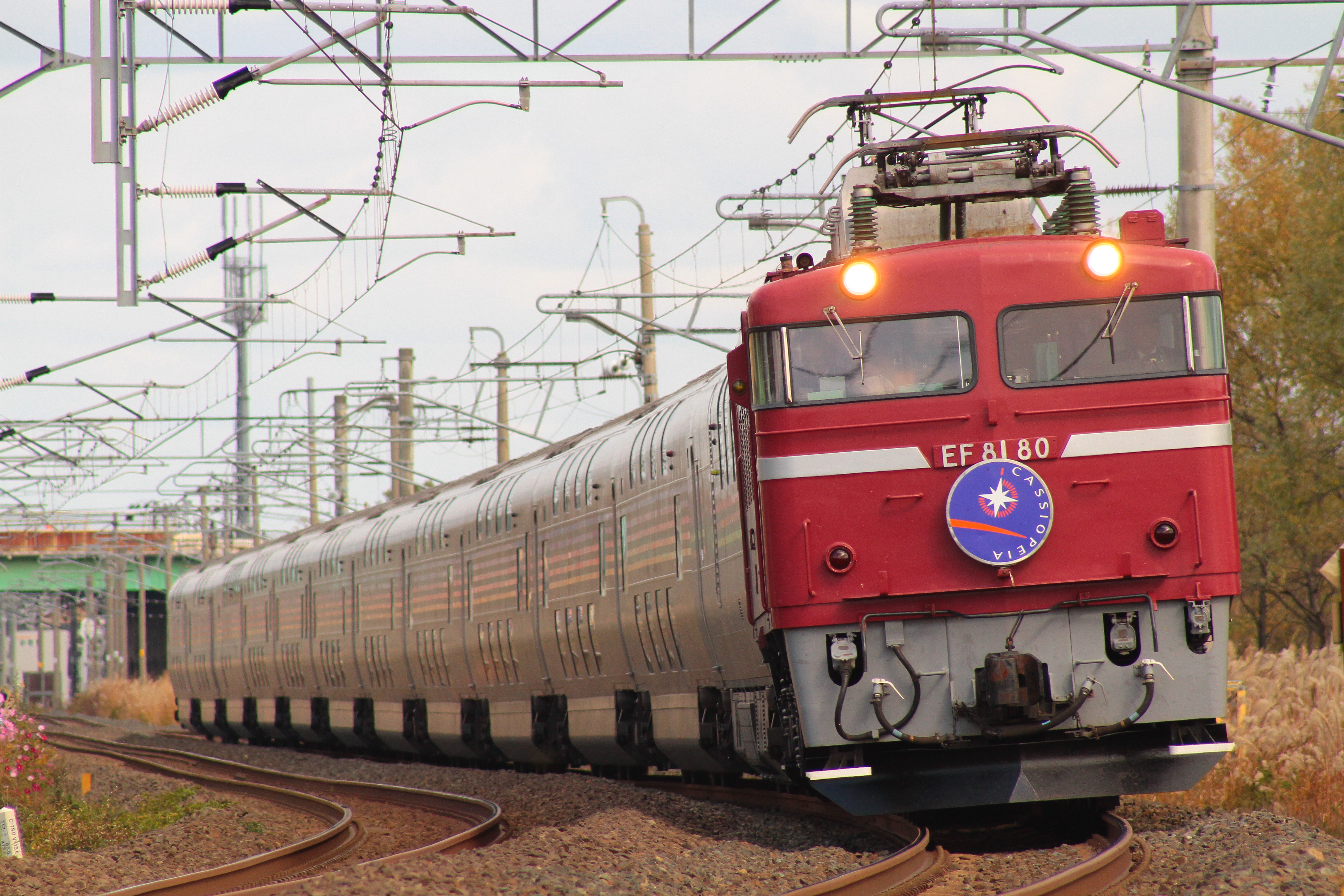 2024】 EF81電気機関車(カシオペア) NgFmJ-m81208137921 passarellimoto.it