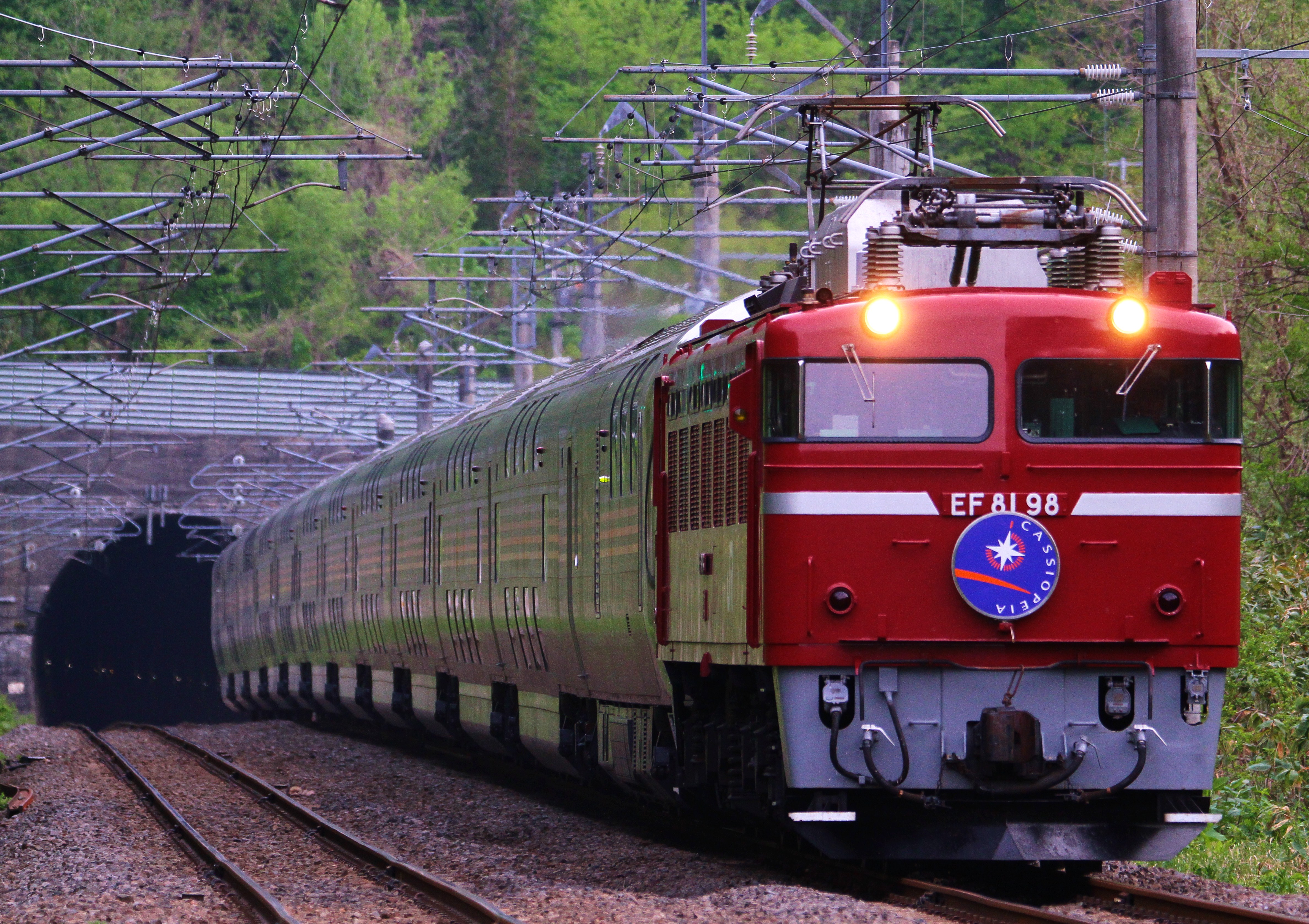 EF81-98