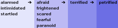 Synonym Scale of