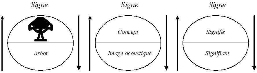 Saussure's