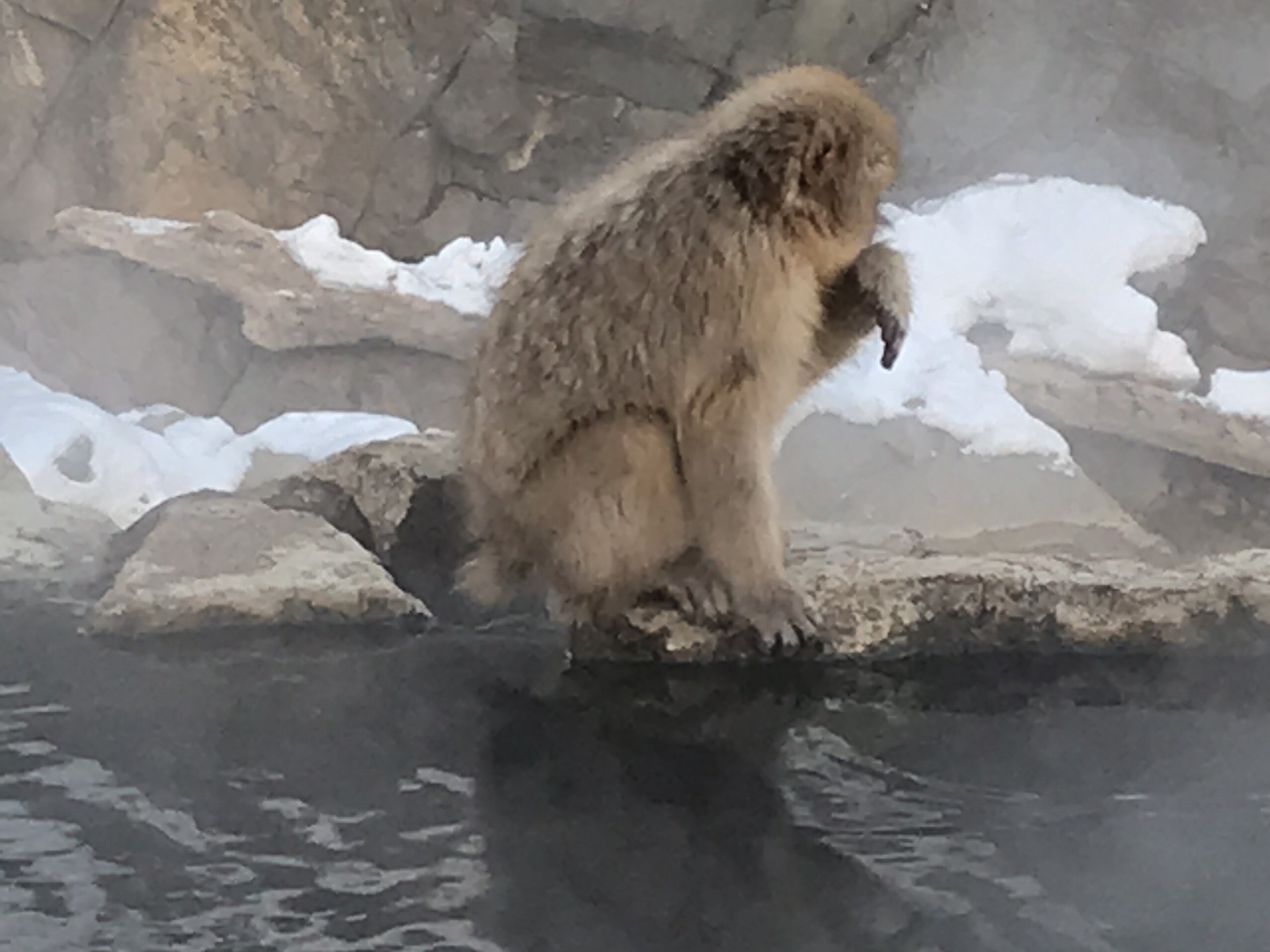 地獄谷野猿公苑